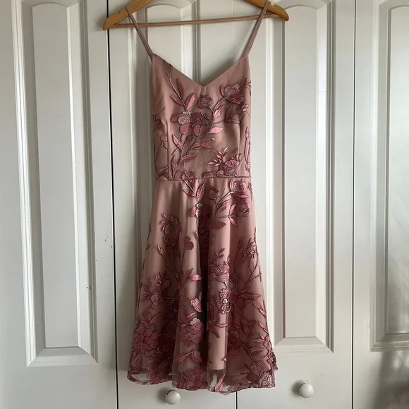 Two Sisters. Small size 4. Blush embroidered Mini dress - Picture 1 of 6